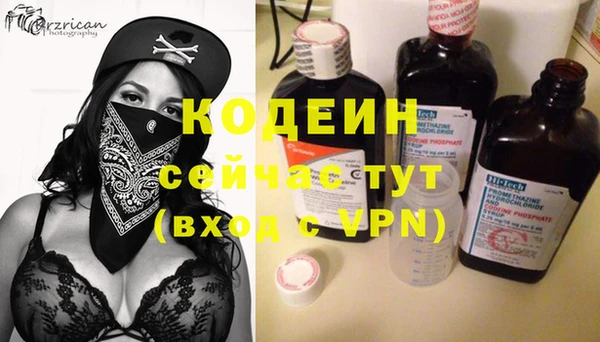 ГАЛЛЮЦИНОГЕННЫЕ ГРИБЫ Няндома