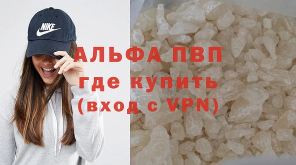 ГАЛЛЮЦИНОГЕННЫЕ ГРИБЫ Няндома