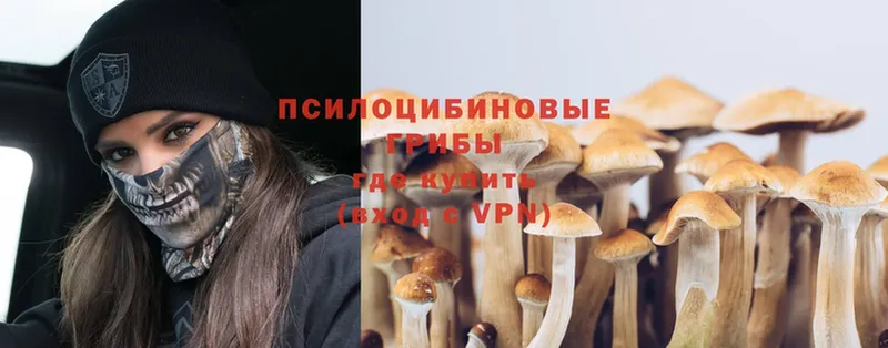 даркнет сайт  Кулебаки  Галлюциногенные грибы Psilocybine cubensis 