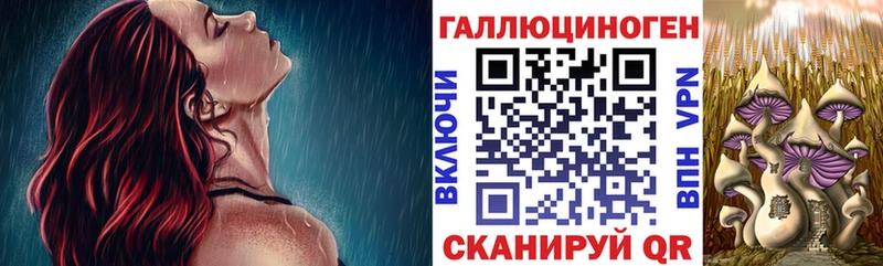 Галлюциногенные грибы прущие грибы  как найти   Кулебаки 