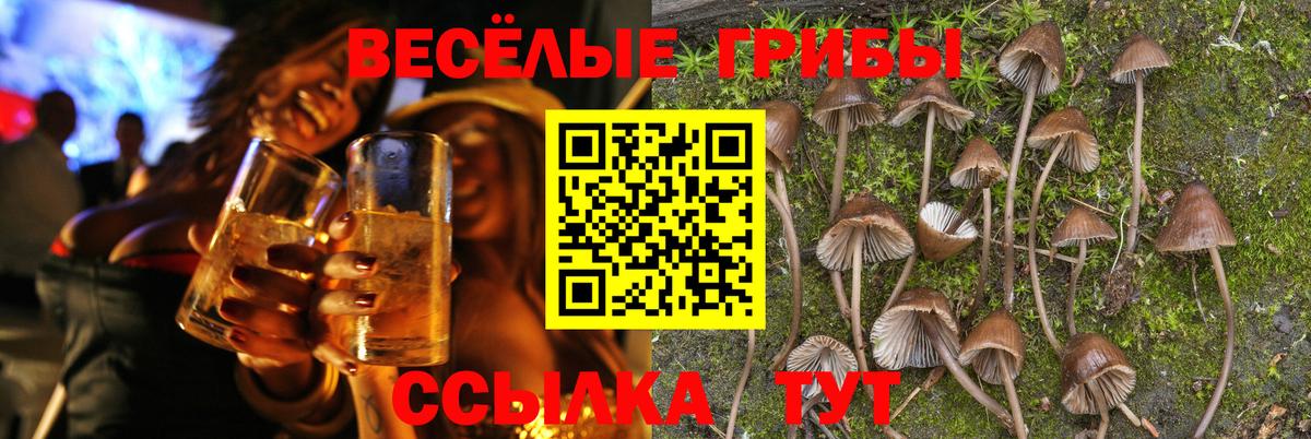 купить  цена  Кулебаки  Псилоцибиновые грибы MAGIC MUSHROOMS 