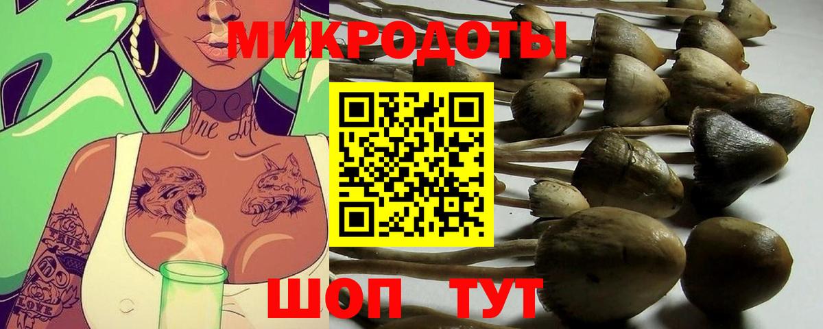 Псилоцибиновые грибы Psilocybine cubensis  Вход с VPN  Псилоцибиновые грибы мухоморы  наркошоп  Кулебаки 